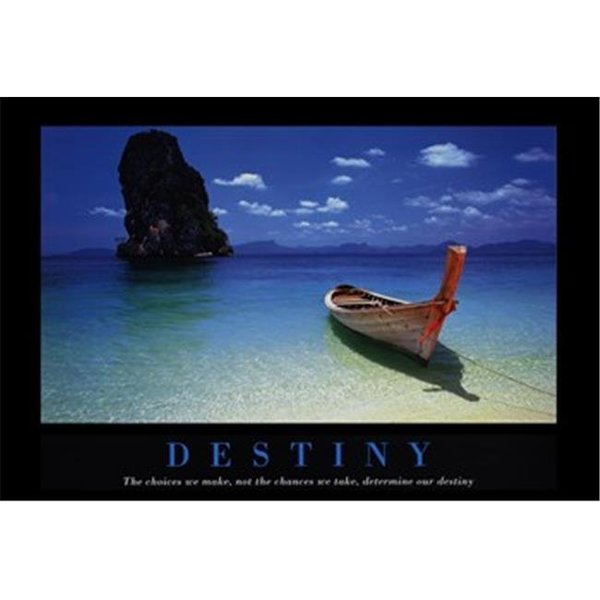 H2H Destiny - Poster 36x24 H2201682